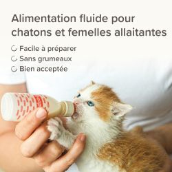 Lait maternisé chaton - Beaphar
