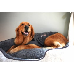 Thundershirt - Gilet Anxiete Chien