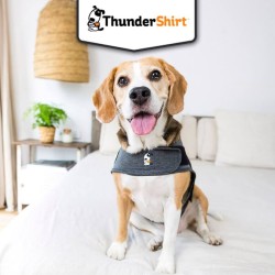 Thundershirt - Gilet Anxiete Chien