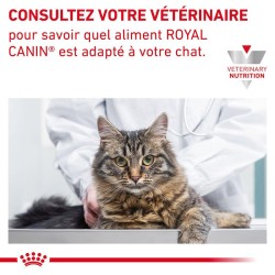 Patée Royal Canin Chat - Gastrointestinal Fibre Response