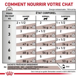 Patée Royal Canin Chat - Gastrointestinal Fibre Response