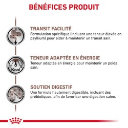 Patée Royal Canin Chat - Gastrointestinal Fibre Response