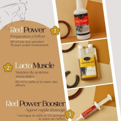 Préparation à l’Effort – Énergie, Performance & Vitalité - Horse Master