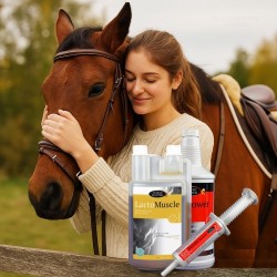 Préparation à l’Effort – Énergie, Performance & Vitalité - Horse Master