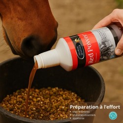 Préparation à l’Effort – Énergie, Performance & Vitalité - Horse Master