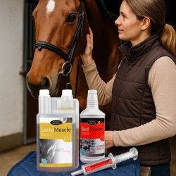 Préparation à l’Effort – Énergie, Performance & Vitalité - Horse Master