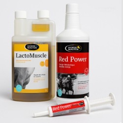 Préparation à l’Effort – Énergie, Performance & Vitalité - Horse Master