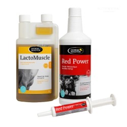 Préparation à l’Effort – Énergie, Performance & Vitalité - Horse Master