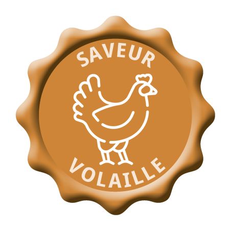 CROQUETTES CHIEN VETERINARY HPM DOG ADULT LARGE & MEDIUM - VIRBAC