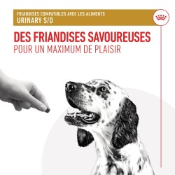 Royal Canin Chien Urinary Friandises