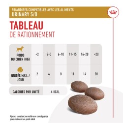 Royal Canin Chien Urinary Friandises