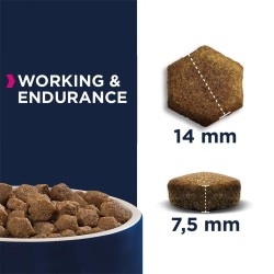 Croquette Chien Adulte Working & Endurance - Eukanuba