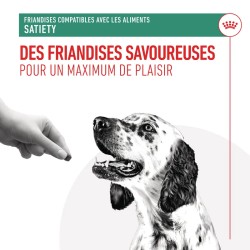 Friandise Chien Satieté - Royal Canin