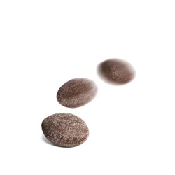 Friandises Chien Gastro Intestinal - Royal Canin