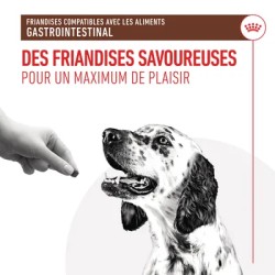 Friandises Chien Gastro Intestinal - Royal Canin