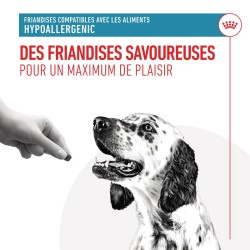 Royal Canin Chien Hypoallergenic Friandises