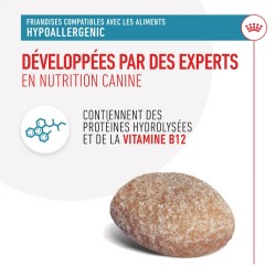 Royal Canin Chien Hypoallergenic Friandises