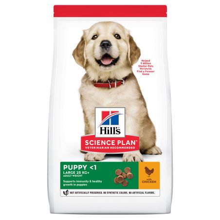 CROQUETTES CHIEN SCIENCE PLAN PUPPY LARGE POULET - HILL'S