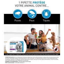 Frontline Chien Spot on - 3 plaquettes