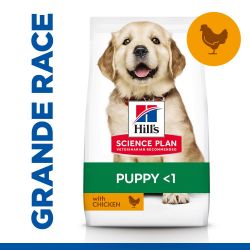 CROQUETTES CHIEN SCIENCE PLAN PUPPY LARGE POULET - HILL'S