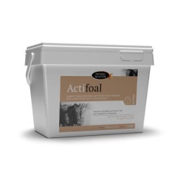 Complément lacté - Actifoal