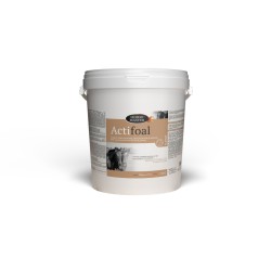 Complément lacté - Actifoal