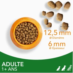 Iams Chien Adulte S/M Agneau