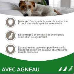 Iams Chien Adulte S/M Agneau