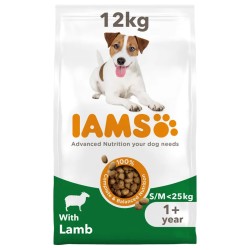 Iams Chien Adulte S/M Agneau