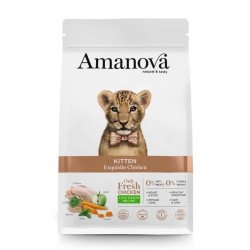 Amanova Chaton Poulet