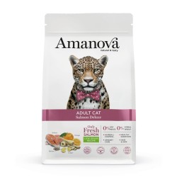 Amanova Chat Saumon