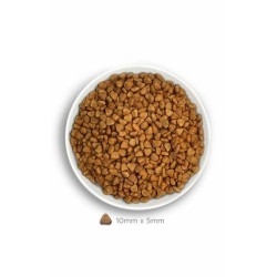 Amanova Chat Stérilisé Saumon