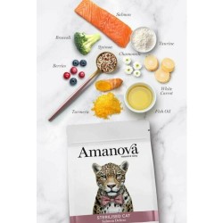 Amanova Chat Stérilisé Saumon