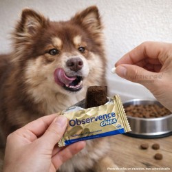 Observence Chien – Friandise pour Donner un Comprimé (6 x 25 g)