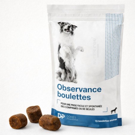 Observence Boulettes – Friandises pour Donner un Comprimé Chien