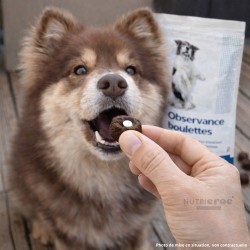 Observence Boulettes – Friandises pour Donner un Comprimé Chien