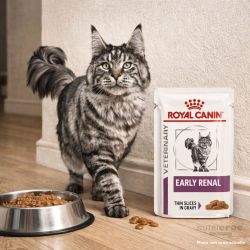 Patée chat VETERINARY CAT EARLY RENAL - Royal Canin