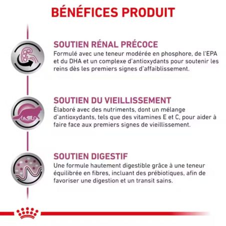 Patée chat VETERINARY CAT EARLY RENAL - Royal Canin