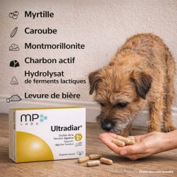 Ultradiar MP Labo – Diarrhée chien & chat gélules