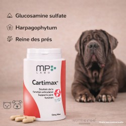 Cartimax MP Labo – Articulations chien & chat gélules