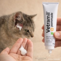 Vetramil pommade chien & chat – Soin cicatrisant au miel