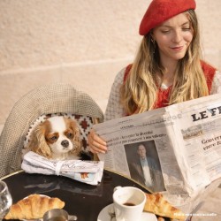 Jouet chien tapis de fouille journal interactif - Bandit