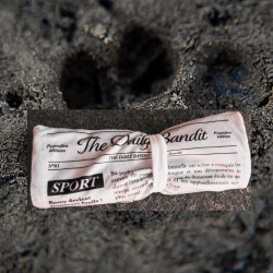 Jouet chien tapis de fouille journal interactif - Bandit