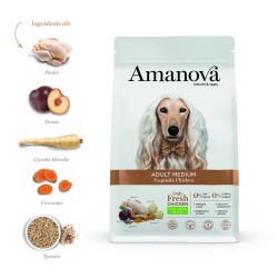 Croquettes chien medium poulet Amanova