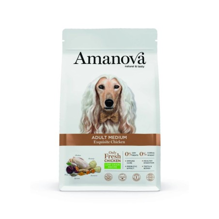 Croquettes AMANOVA CHIEN MEDIUM POULET