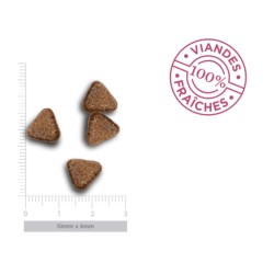 Croquettes Chien Sans Céréales Agneau Sensible Amanova