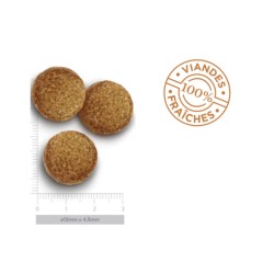 Croquettes Chien Grande Race Poulet Amanova