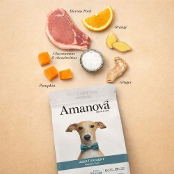 Croquettes Chien Exigeant Porc Ibérique Sans Céréales