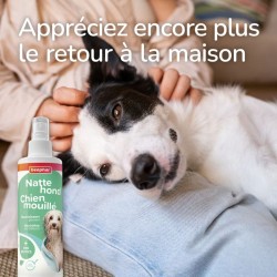 Spray Chien Mouillé - Anti-Odeur Beaphar