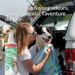 Spray Chien Mouillé - Anti-Odeur Beaphar